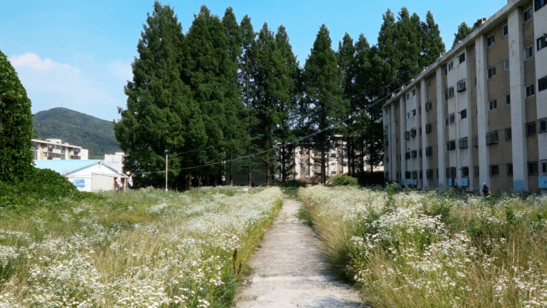 still01.jpg